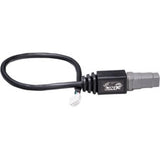 Link ECU - S2000Link - S2000X Plug-N-Play Standalone ECU